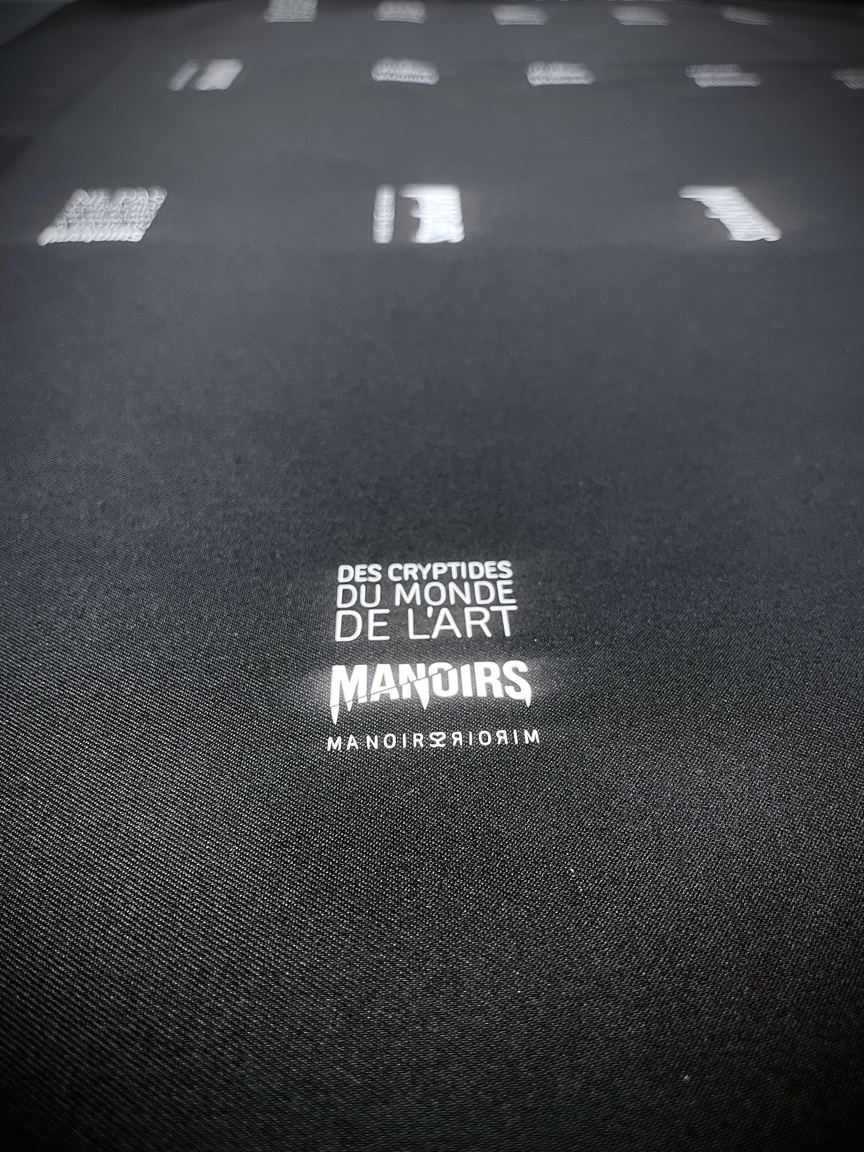 Lionel Perbet - Manoirs