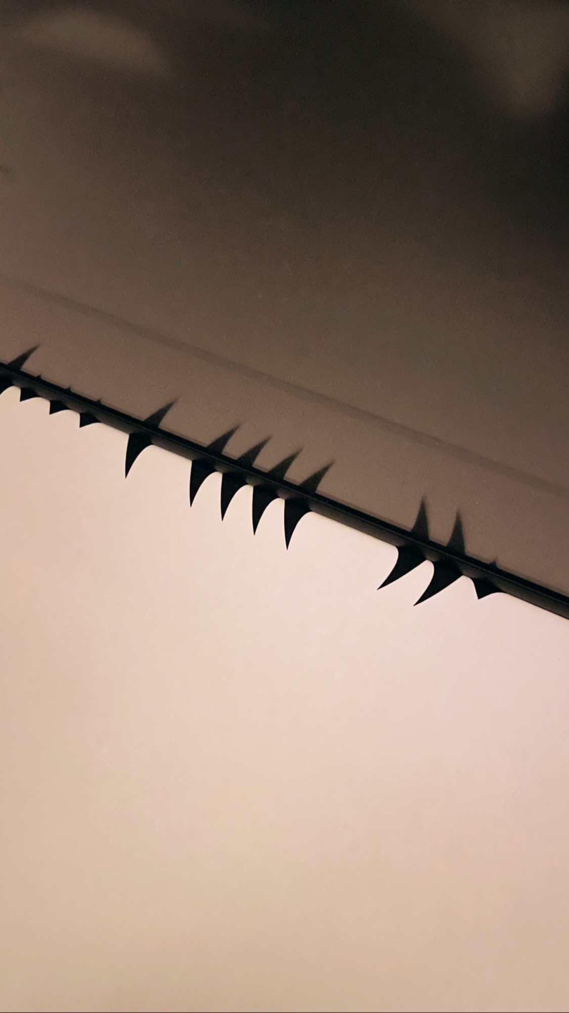 Lionel Perbet - Cadre Nosferatu Manoirs